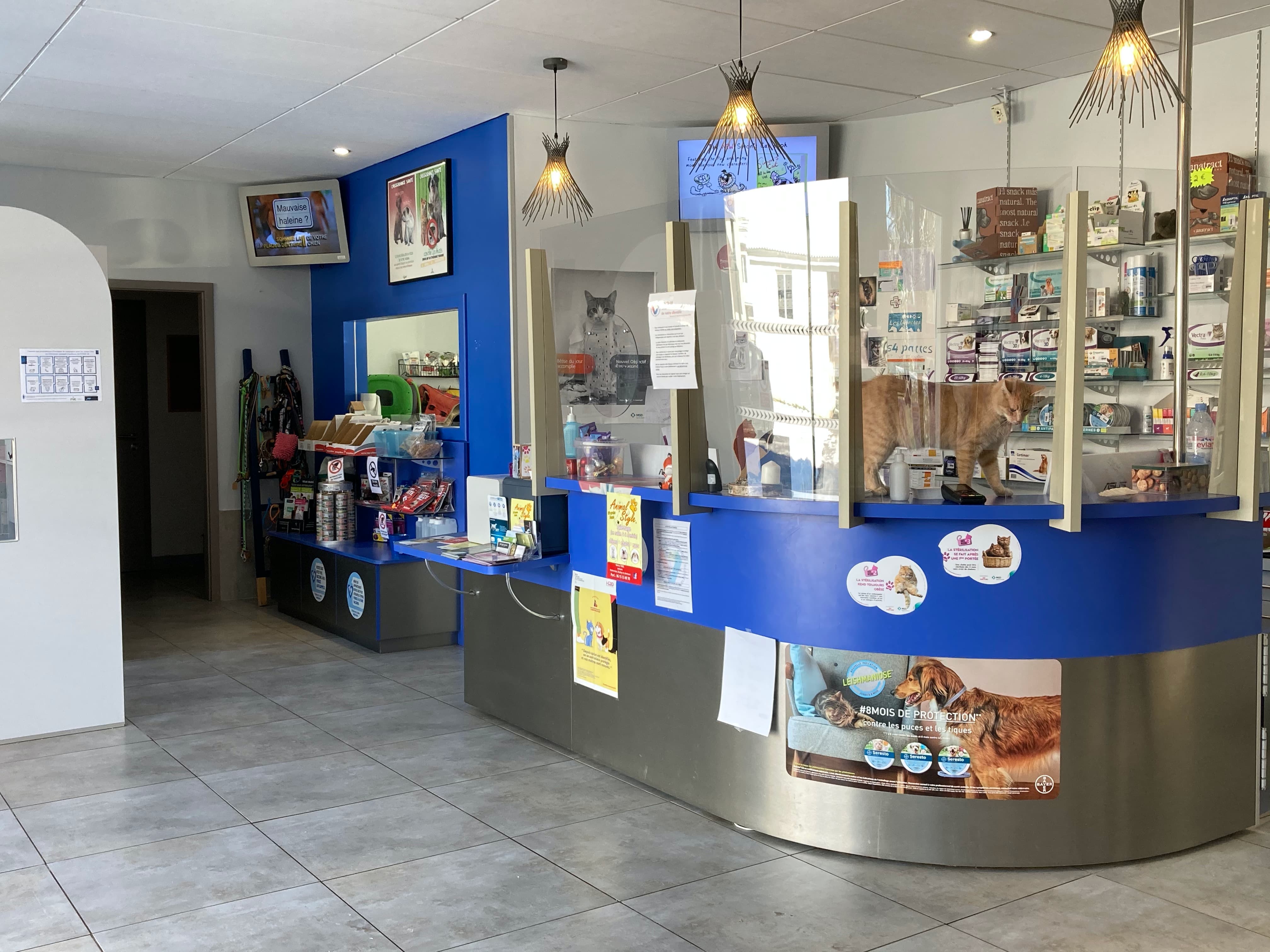 photo du comptoir dans la salle d'accueil